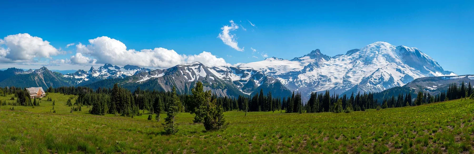 Mount Rainier above a green alpine meadow